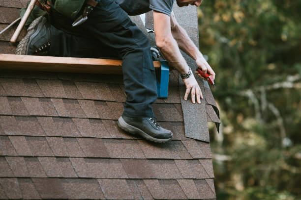 Best Roof Gutter Cleaning  in Crown Heights, NY